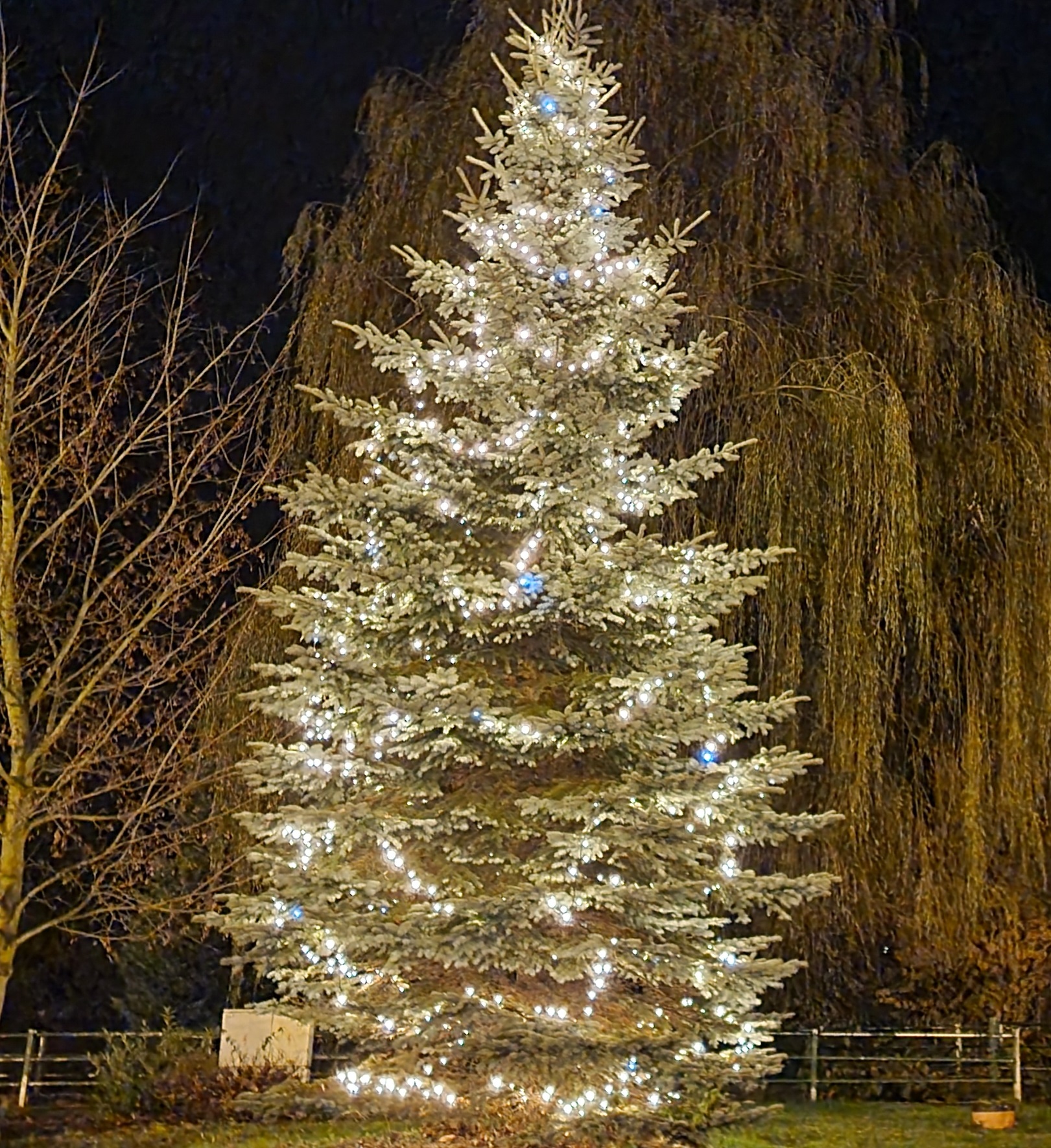 Slavnostní rozsvěcení vánočního stromu